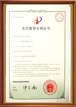 峰值记录表专利